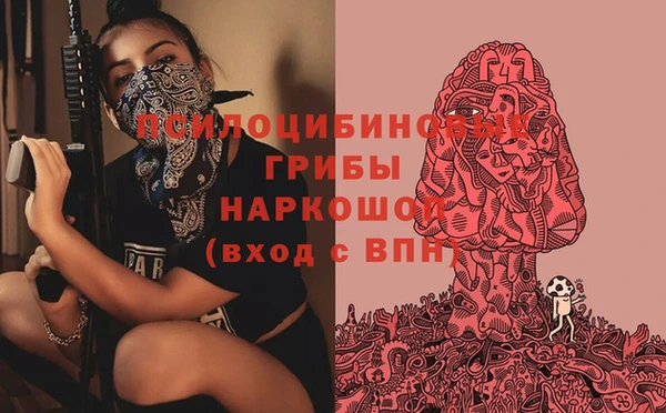 PSILOCYBIN Алексин