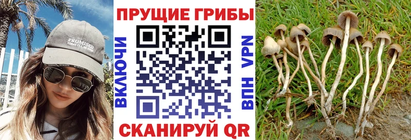 Галлюциногенные грибы GOLDEN TEACHER  кракен tor  Чапаевск 